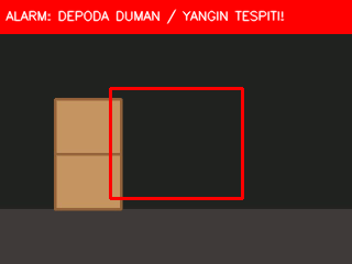 Alev Duman
